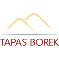 Tapas Borek