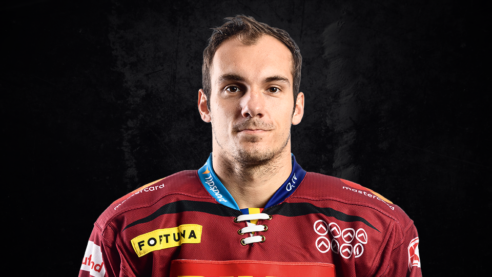 zdenek dolezal #93