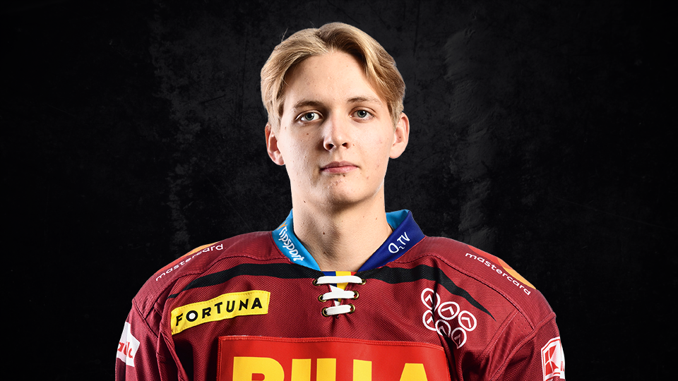 petr hasek #74